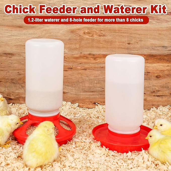 Chick Brooder Box Starter Kit, Plastic Baby Chicken Feeder and Waterer Set with Chick Perch