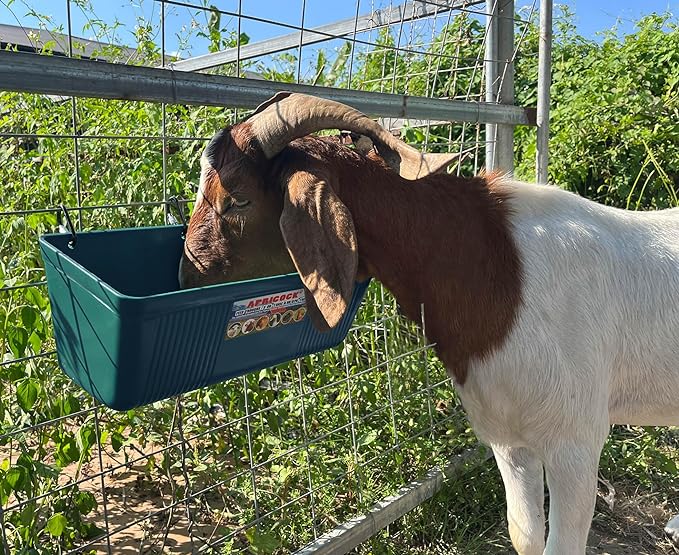 Large Feed Trough and Goat Feeder - 2 Pack Hanging Feeder with Clips, Waterer Bucket, Fence Feed Trough, Goat Supplies, 10 Quart