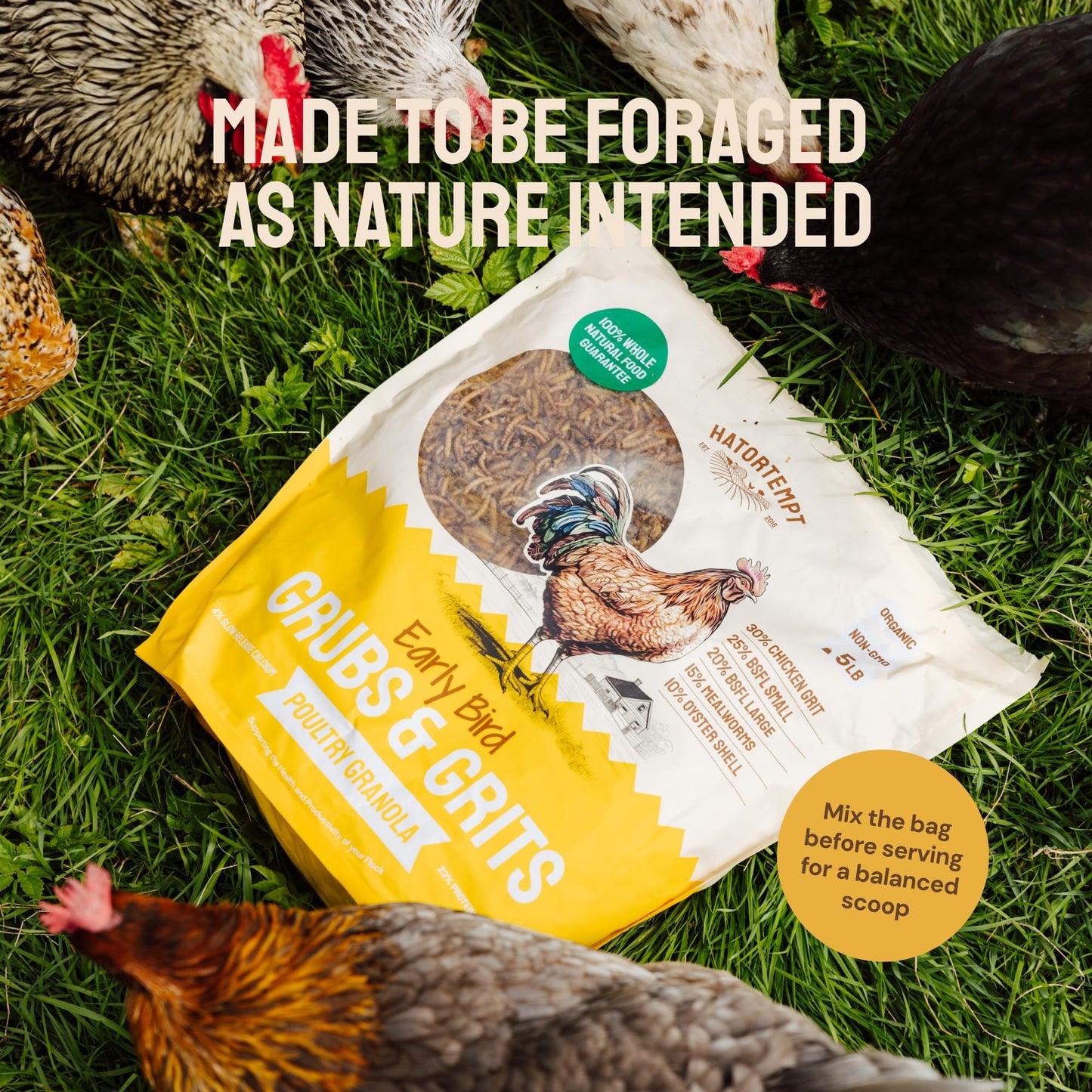 Hatortempt 5lb Grubs & Grits Organic Chicken Feed - 3 Grub Blend with Oyster Shells & Grits - Dried Mealworms for Chickens Plus Large & Small Black Soldier Fly Larvae - Food Designed for Foraging