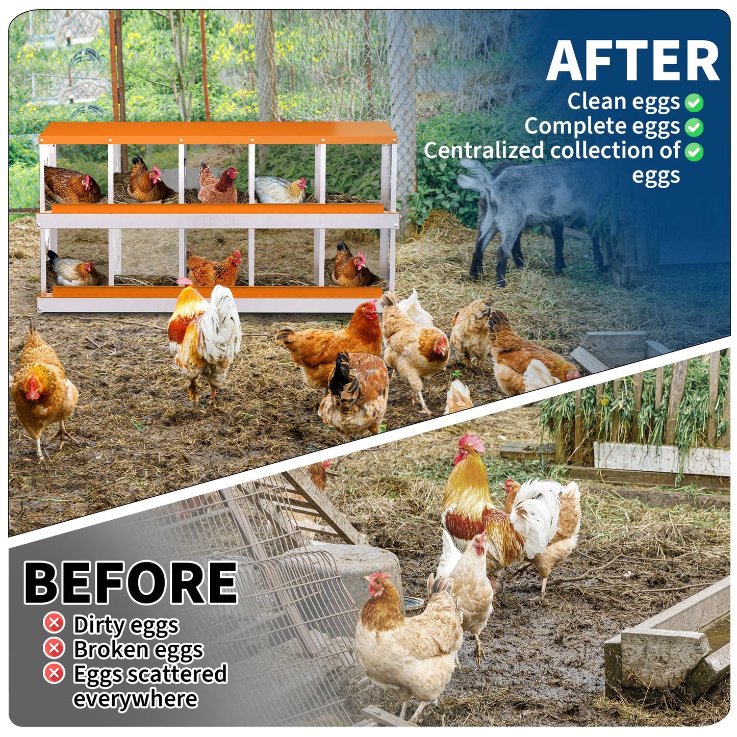 Chicken Nesting Box, 10 Compartment Galvanized Steel Chicken Laying Boxes, Nesting Boxes for Chickens, Easy Egg Collection for Chicken Coop, Backyard, Farms, Orange