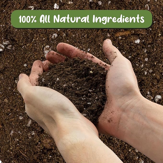 Tropical House Plant Potting Mix (2 Quarts); for All Types of Indoor House Plants