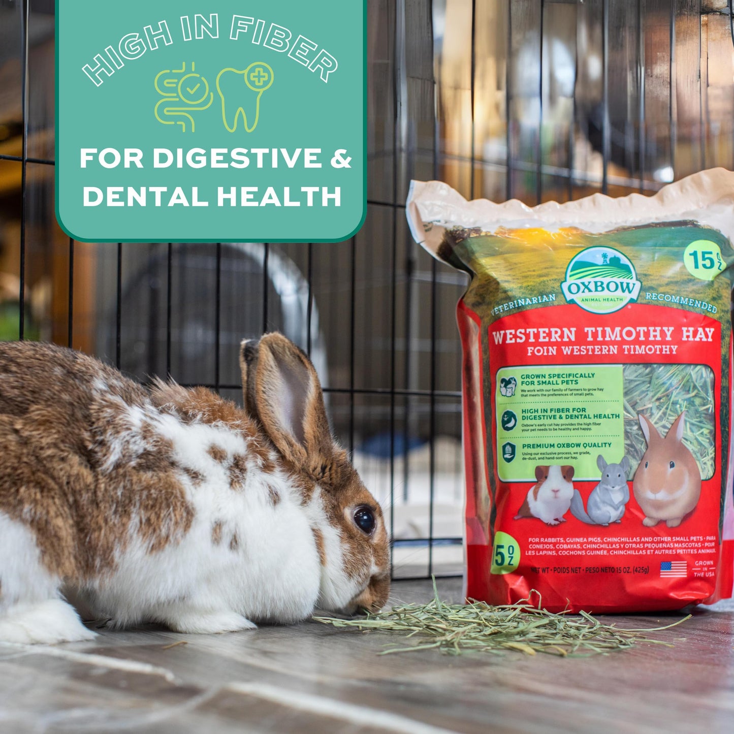 Oxbow Animal Health Western Timothy Hay, Bunny Food, All Natural Hay for Rabbits, Guinea Pig, Chinchillas, Hamsters & Gerbils, Rabbit Treats, Veterinarian Recommended, 15 oz.
