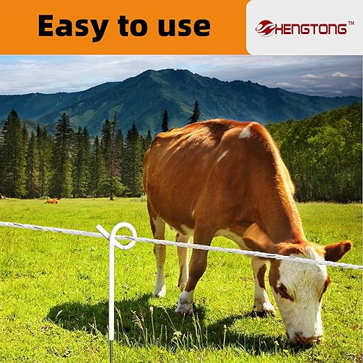 Electric Fence Poly Rope 656ft (200m), 1/4 inch (6mm) Upgraded Portable Polyrope, 6 x 0.18mm Strong SS Conductors, Electric Fence Rope for Horses, Safe Enough for Large Animals (White)