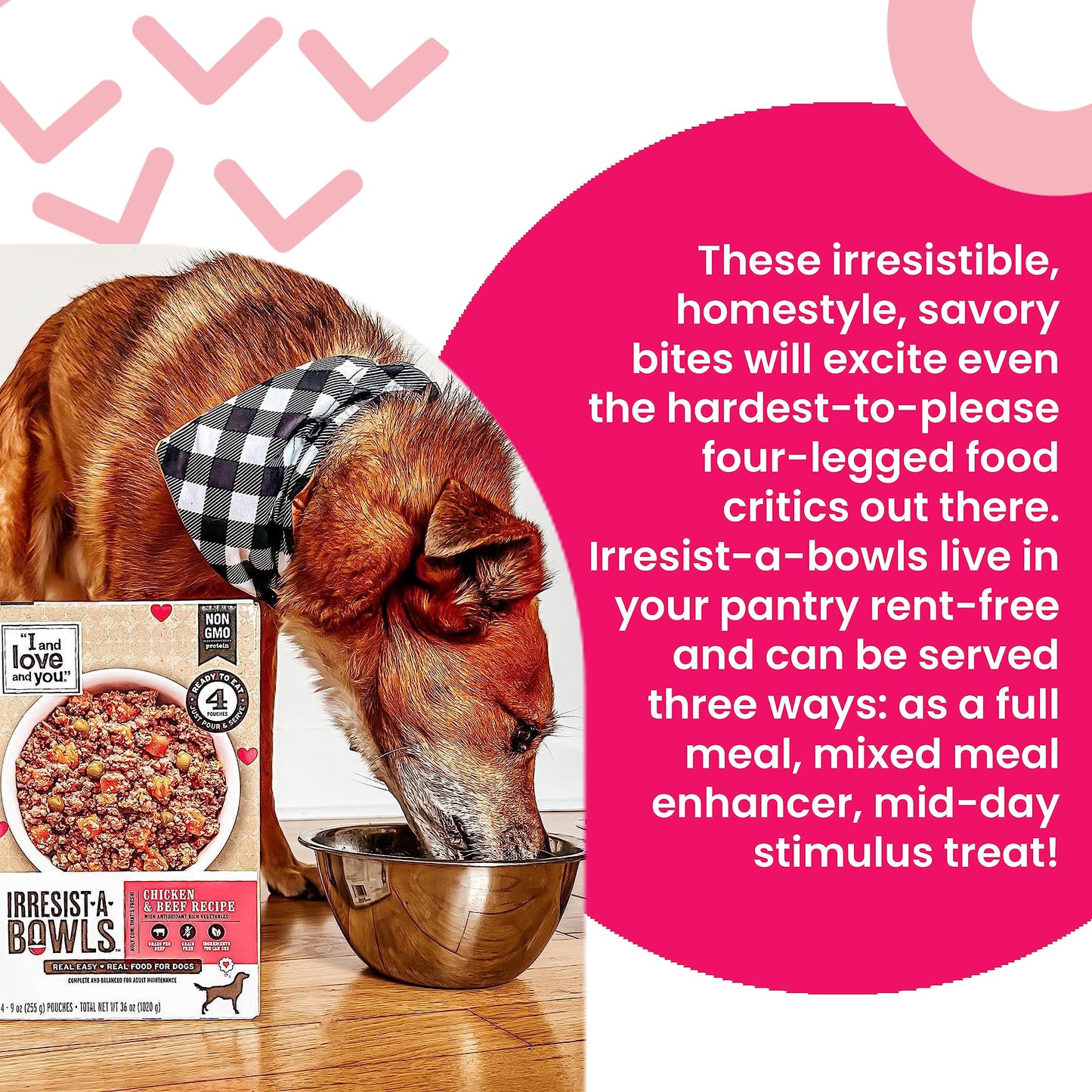 I AND LOVE AND YOU" Irresist-A-Bowls Wet Dog Food, Chicken and Duck Recipe, Ready to Serve, Grain Free, Real Meat, No Fillers, 9 oz Pouches, Pack of 4 Pouches, (Package May Vary)