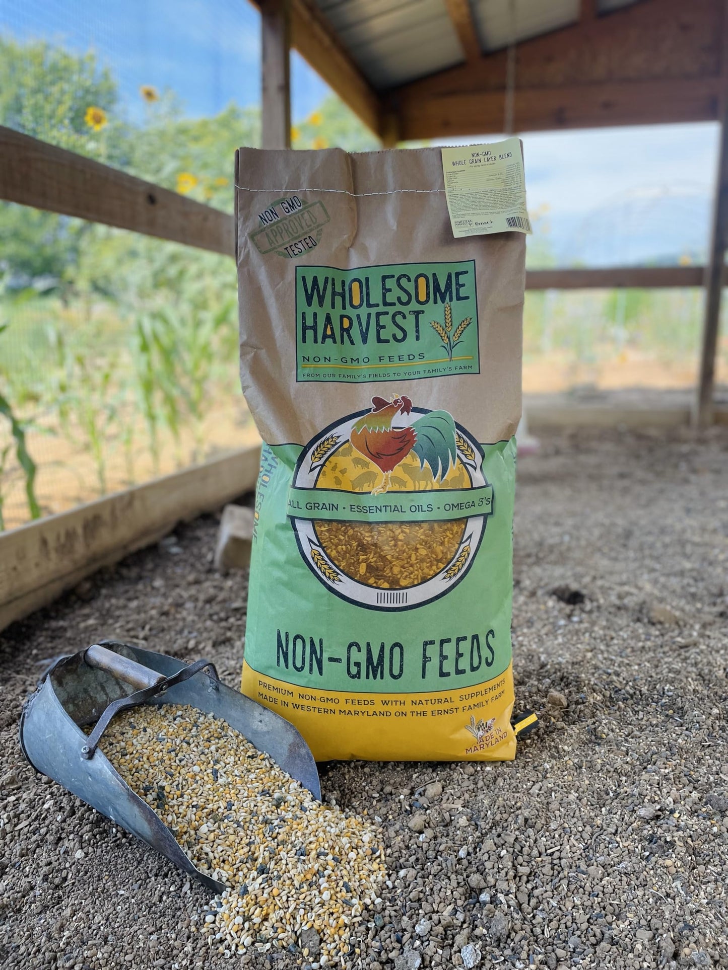 Wholesome Harvest Non-GMO 10 lb Turkey Feed - Natural Peacock, Game Bird & Bird Feed, 24% High Protein Complete Food with Essential Oils, Herbs, Vitamins & Probiotics Formula for Healthy Flock Growth