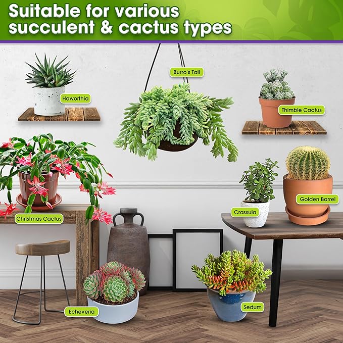 DUSPRO Succulents Soil Potting Mix – 7 in 1 Ingredients Well-Draining, Nutrient-Rich Cactus Potting Soil for Succulents and Cacti, Indoor & Outdoor Use, Ready to Use, Supports Healthy Root Growth, 2QT