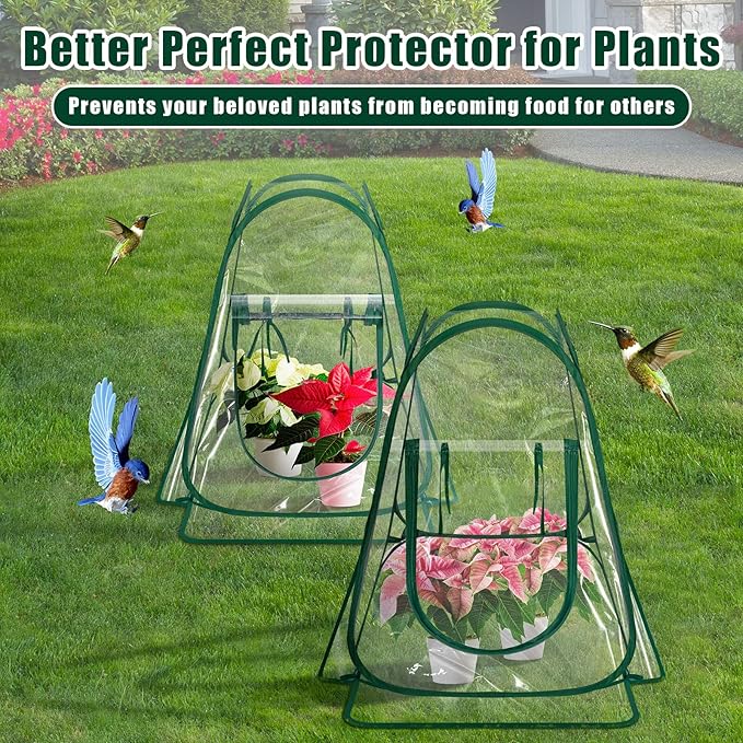 Woanger 4 Pieces Mini Greenhouse Pop up Flower Cover 27 x 27 x 31 in Small Sunshine Room Portable Cold Frost Protector for Indoor Outdoor Backyard PVC Gardening Plant, Individual Package with Tools