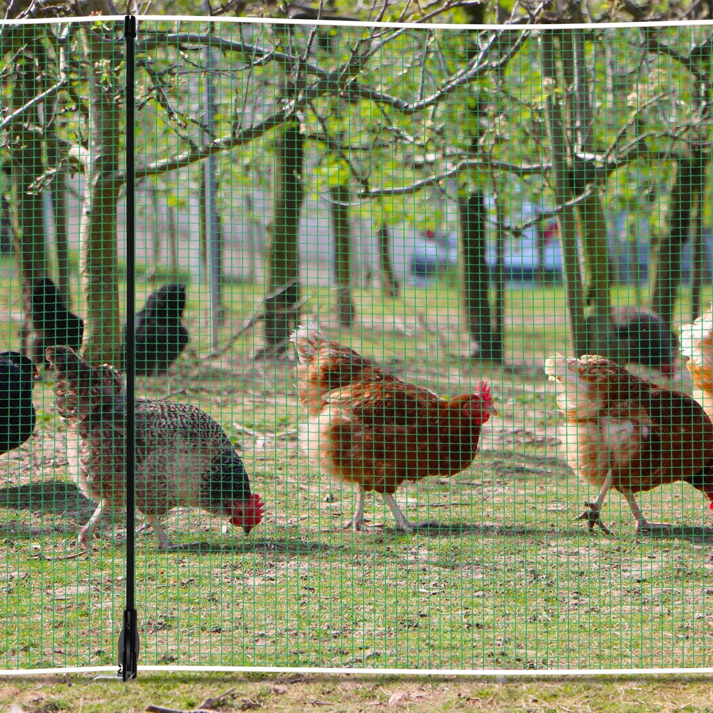 Toriexon Non Electric Fence Netting 48"x65', Boundary Fence with Double Spiked Posts&Windproof Kit, Portable Poultry Fence for Dogs, Chickens, Ducks, Turkeys Suitable in Backyard, Garden, Farm-Green