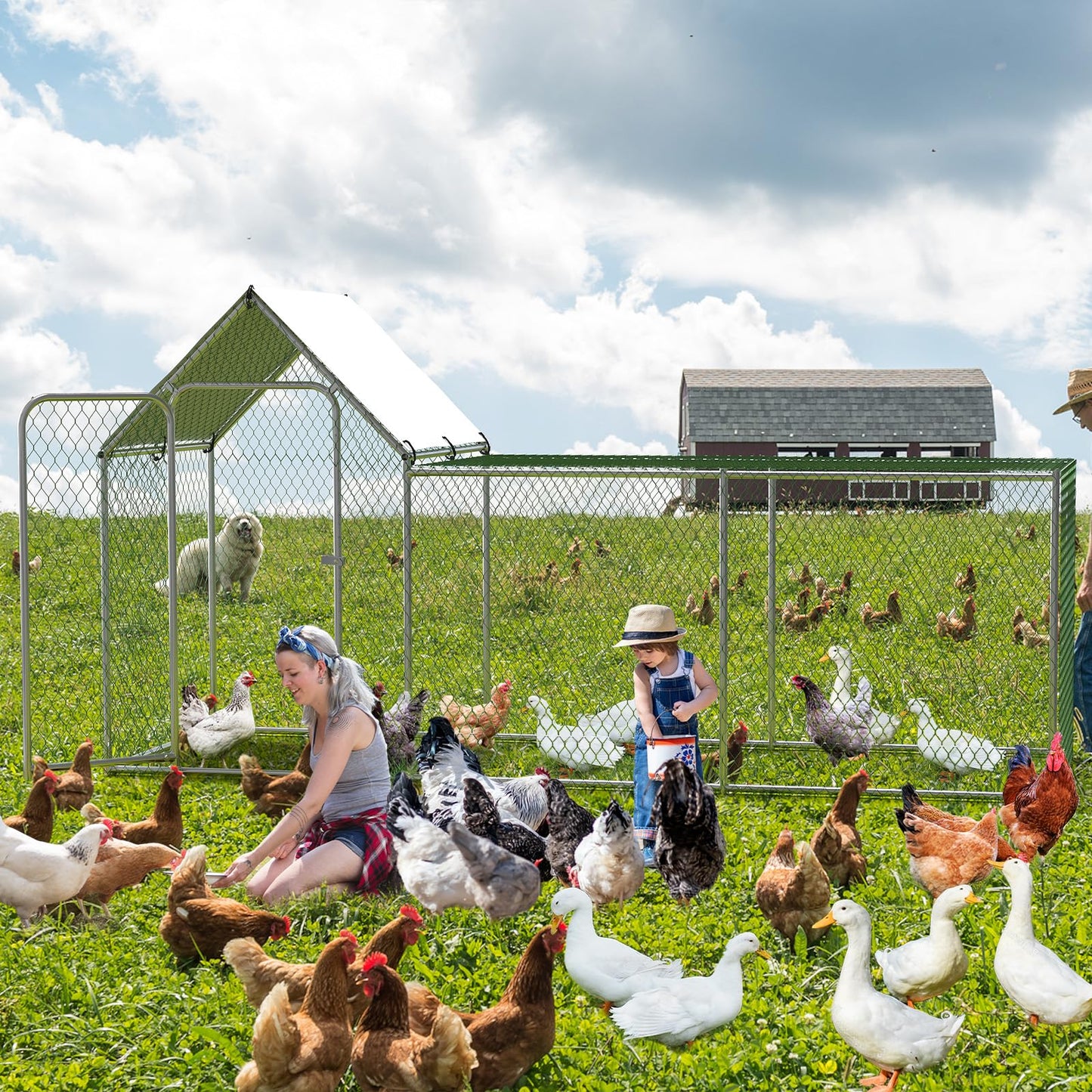 Chicken Coop, Large Metal Chicken Run, Outdoor Chicken Pen with Waterproof and Anti-UV Cover, Walk-in Chicken House with Lockable Door, for Yard, Farm Use, 10' W x 3.3' D x 5' H