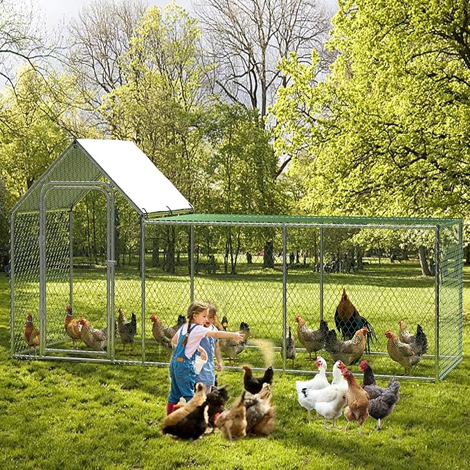 Large Metal Chicken Coop, Chicken Run with Cover, Walk-in Poultry Cage for Yard Outdoor Duck Rabbit Cage