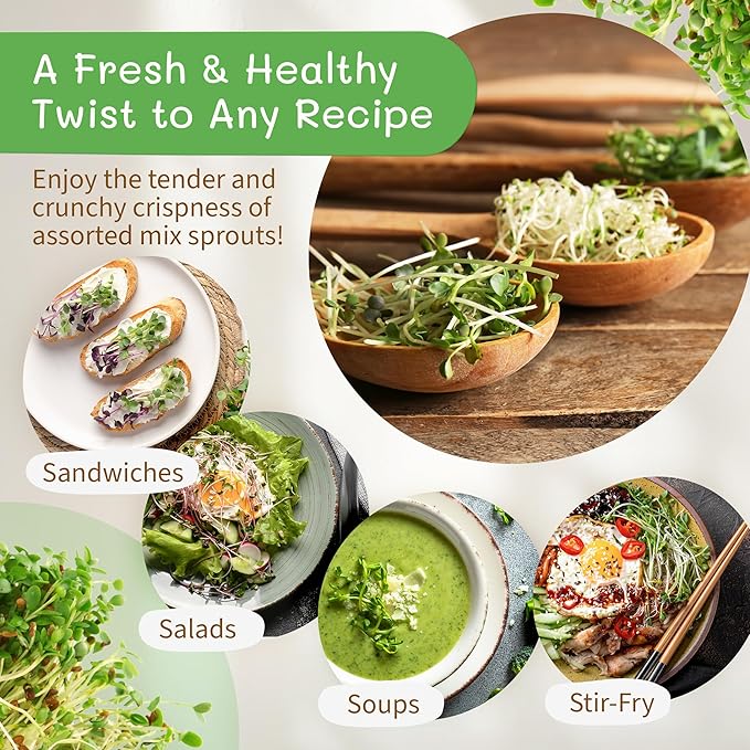 The Sprout House Assorted Mix Sprouting Seeds - Grow Fresh Sprouts & Bean Sprouts at Home, Organic, Non-GMO, Nutrient-Packed for Salads, Sandwich & Smoothies, Premium 12 Pack | 2 oz Each