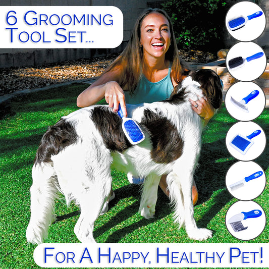 Horicon Pet 6 In 1 Premium Dog Brush Set - Dog Grooming Brushes - Ball Pin & Bristle Brush, Curved Blade Dematting Comb, Slicker Brush, Deshedding Edge Comb, Detangling Pet Comb