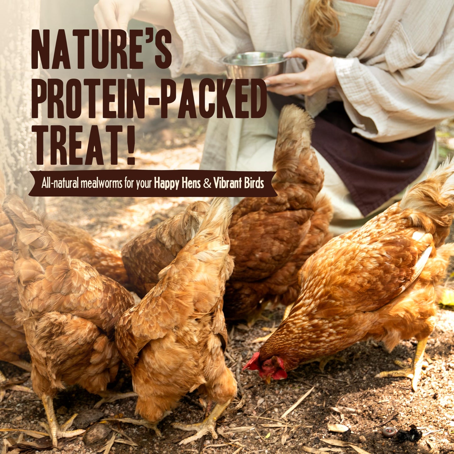 Pet Faves Dried Mealworms for Chickens, Birds, Hamster, Reptile and Turtle - Premium Non-GMO Treats with 55% Protein for Laying Hens - Organic Food for Wild Bird, Bluebirds, Robins, Cardinals. 2 Lb