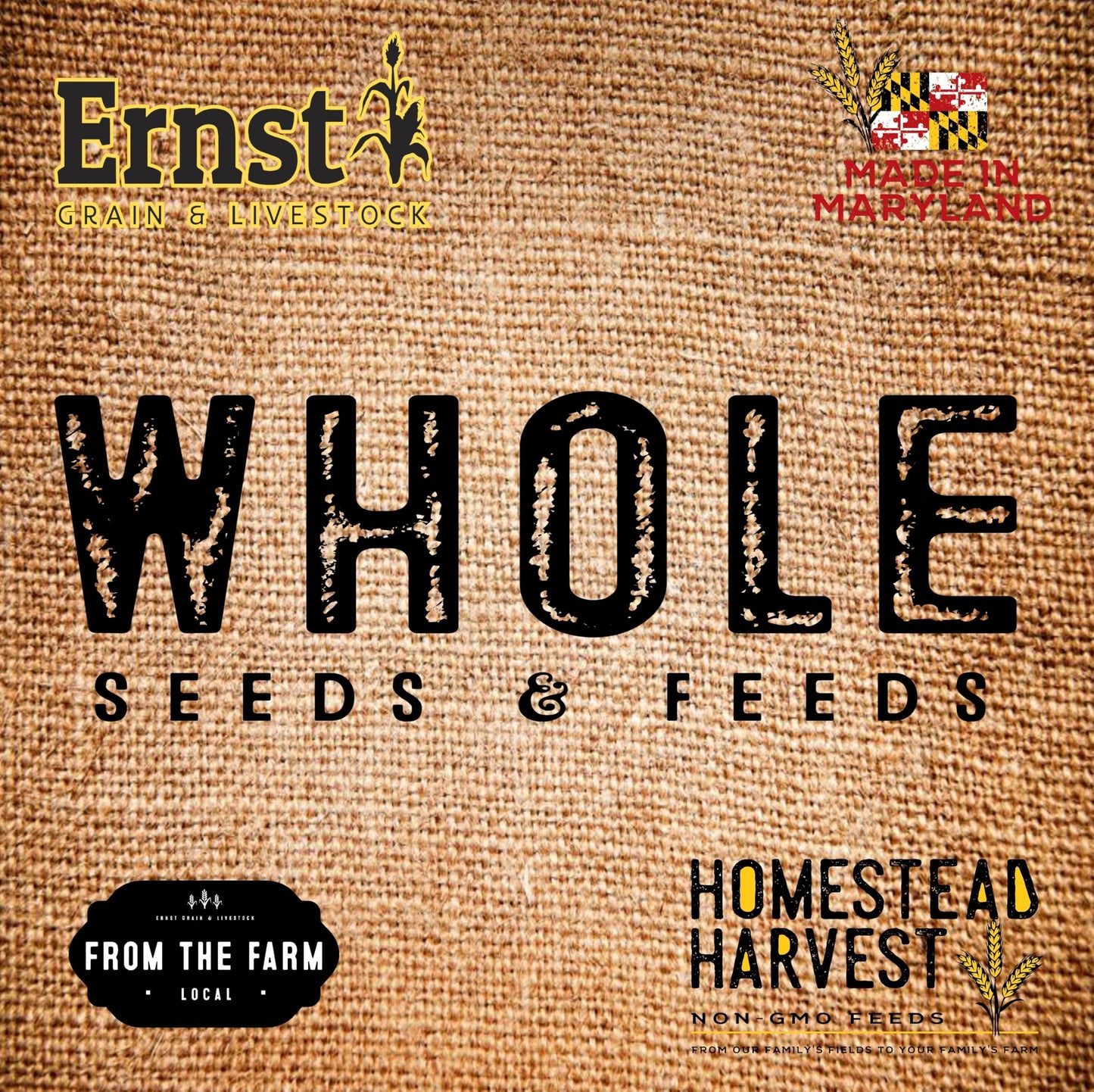 Ernst Grain Cracked Corn, Non-GMO – Perfect Feed for Ducks, Squirrels, Chickens, Ducks, Deer, Rabbits, Geese, and More! (10 lb)