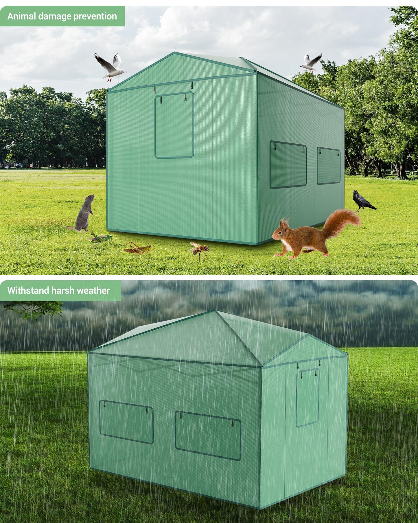 8X12 FT Portable Greenhouse for Outdoor,243 x 365 CM Wall in Pop Up Greenhouse for Gardening Plant, Zipper Roll Up Door & 4 Mesh Window, Double Frame, PE Cover Grow Tent for Winter, Green