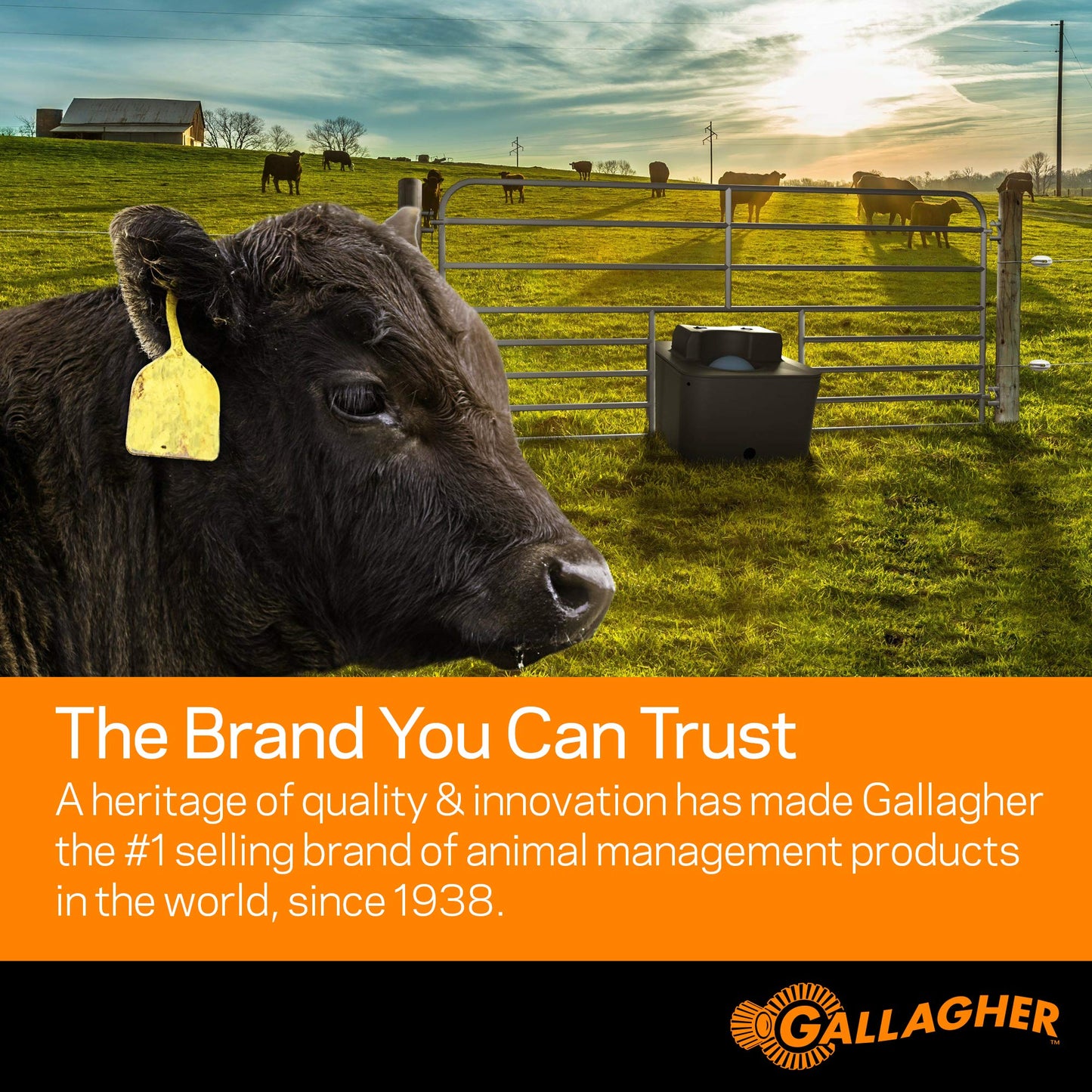 Gallagher S10 Leadset | Energizer Output Lead Set | Electric Fence Energizer Accessory with Red & Green Alligator Clips | Connect to Energizers, Power Supplies & Earthing Systems | 70" / 1.8m Length
