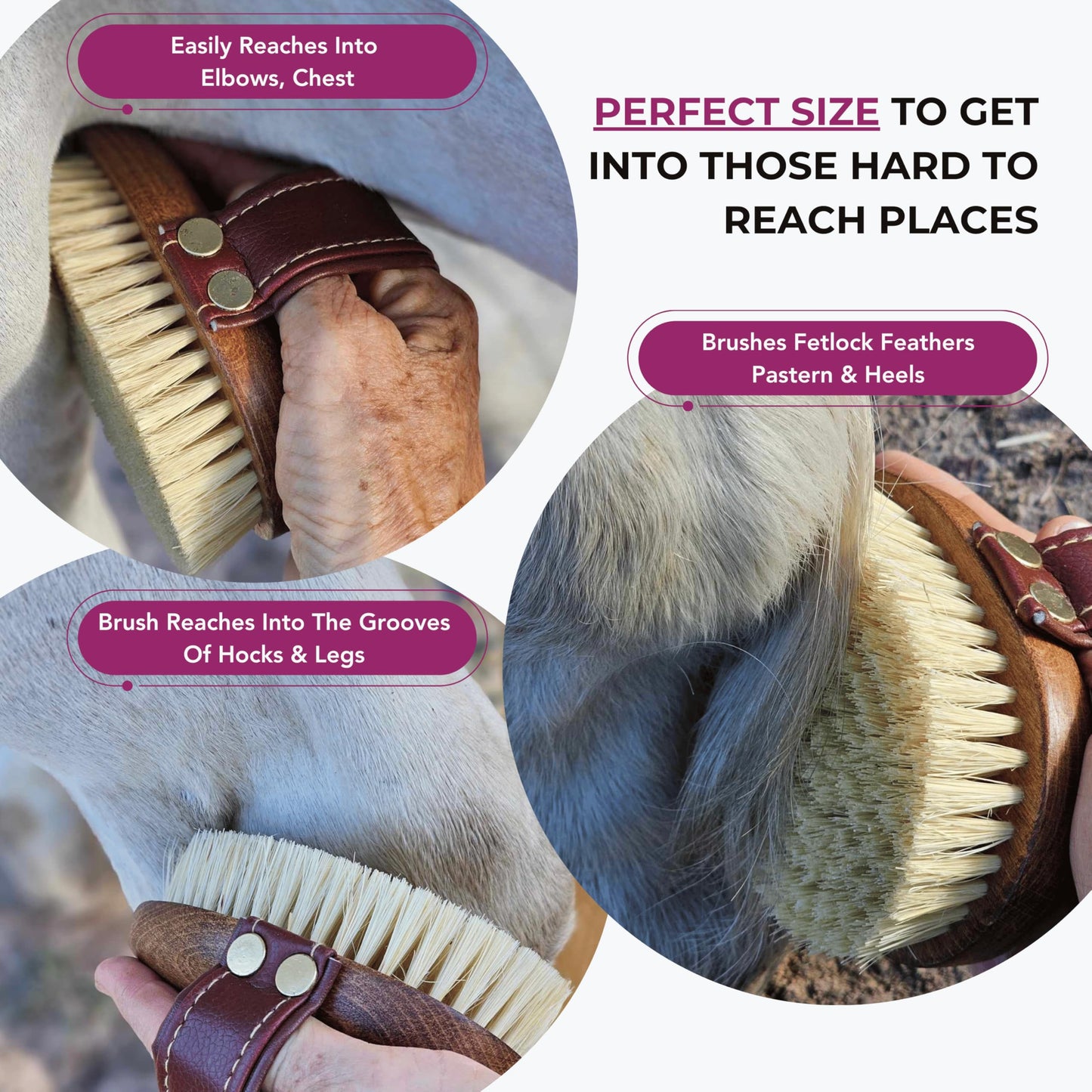 Horse Grooming Brush – Mud & Dirt Removal, Stiff Sisal Bristles, Compact Size | Gentle on Sensitive Coats, Premium Equine Care Tool for Grooming Kit