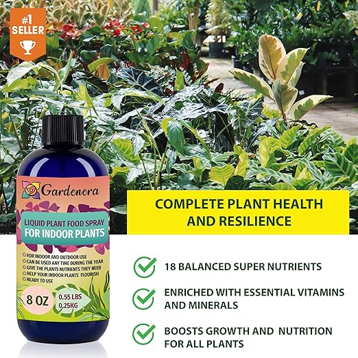 Gardenera Plant Growth Superfood for Dracaena with 18 Essential Vitamins & Minerals - Organic Plant Food Fertilizer - Micro-Fungi and Bio-Organisms for Dracaena Plant Care & Growth Enhancement - 32oz