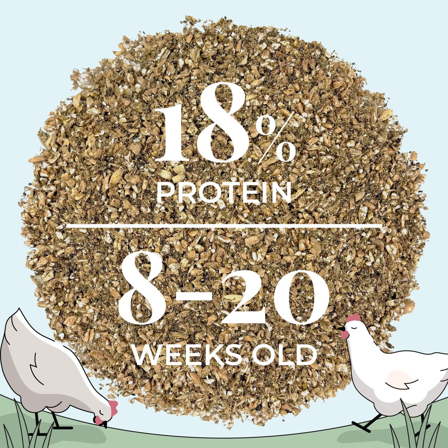 Mile Four Organic Chicken Feed – Grower Mash, Non-GMO, USA Grown, 18% Protein, Corn-Free, Soy-Free, Non-Medicated Feed for Chickens, 2 lb Sample