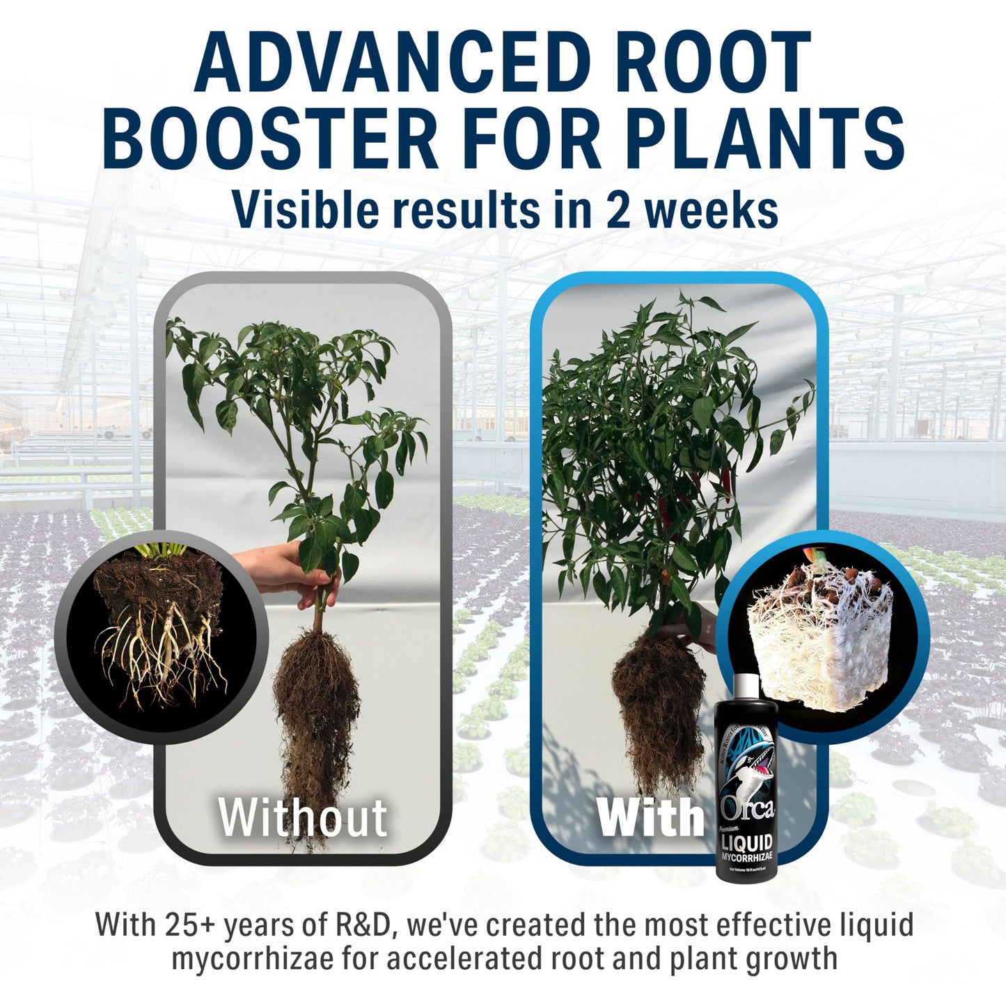 Plant Success 1 Gallon Orca Liquid Mycorrhizae for Plants - Mycorrhizal Fungi Root Stimulator and Booster - Enhance Plant Success with Microbes for Soil