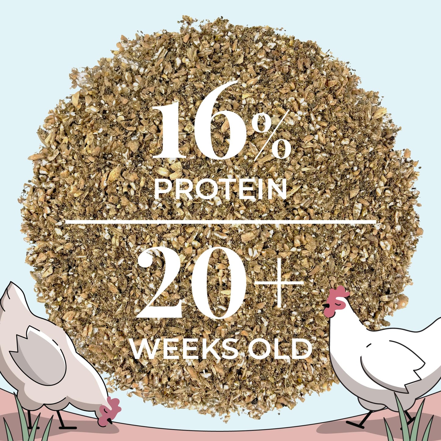Mile Four Organic Chicken Feed – Layer Mash, Non-GMO, USA Grown, 16% Protein, Corn-Free, Soy-Free, Non-Medicated Feed for Chickens, 2 lbs Sample