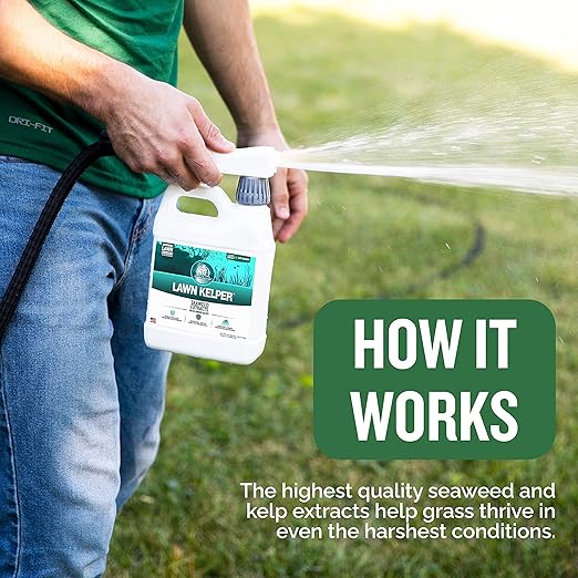 Turf Titan Lawn Kelper Hose End – Liquid Fertilizer with Seaweed Kelp Extract for Lush, Greener Grass – Non-Toxic Seaweed Fertilizer for Lawn & Plants – Covers Up to 8000 Sq Ft