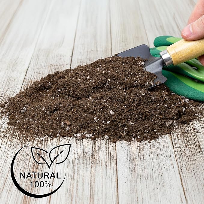 Tropical House Plant Potting Mix (2 Quarts); for All Types of Indoor House Plants