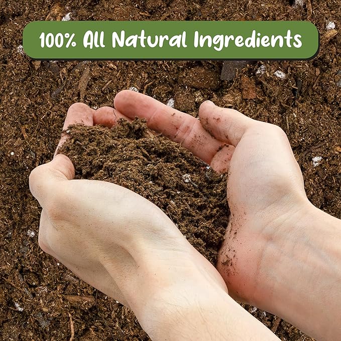 Anthurium Plant Potting Soil Mix (4 Quarts), Indoor Houseplant Custom Blend for Flowering Anthuriums