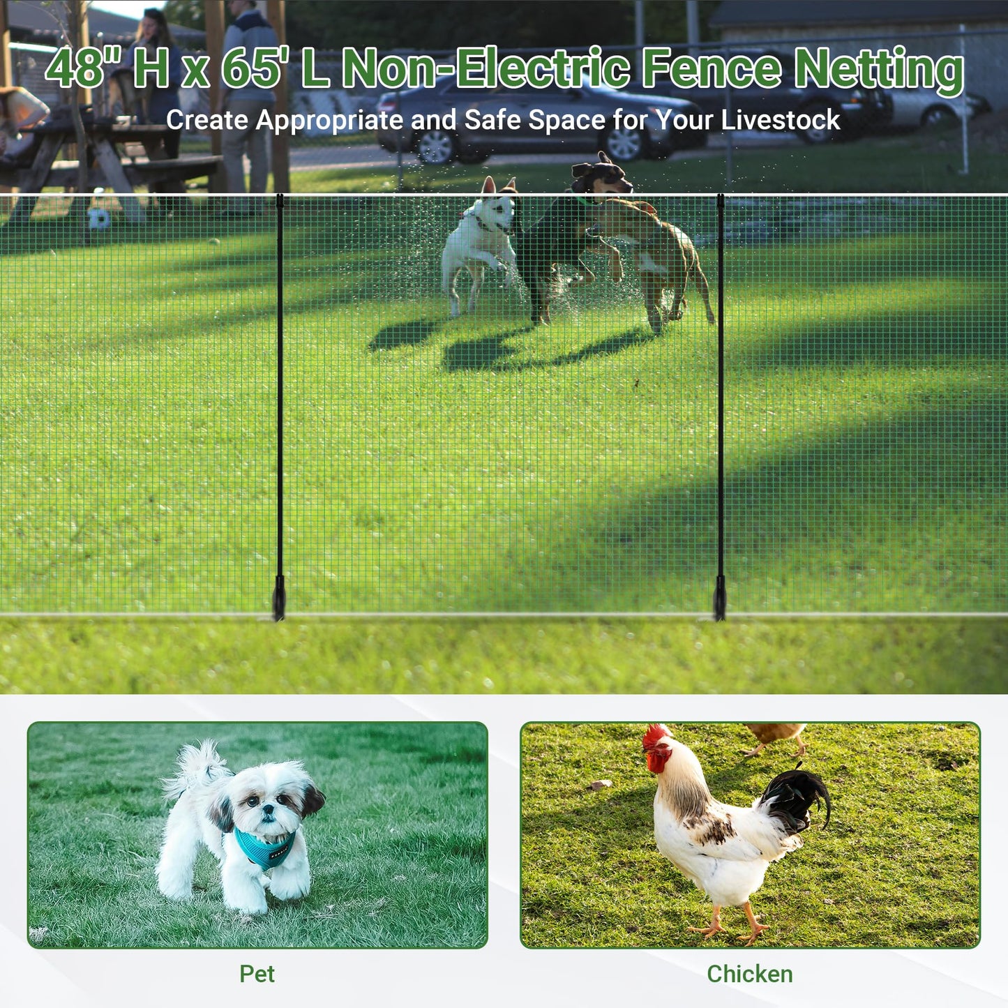 Toriexon Non Electric Fence Netting 48"x65', Boundary Fence with Double Spiked Posts&Windproof Kit, Portable Poultry Fence for Dogs, Chickens, Ducks, Turkeys Suitable in Backyard, Garden, Farm-Green