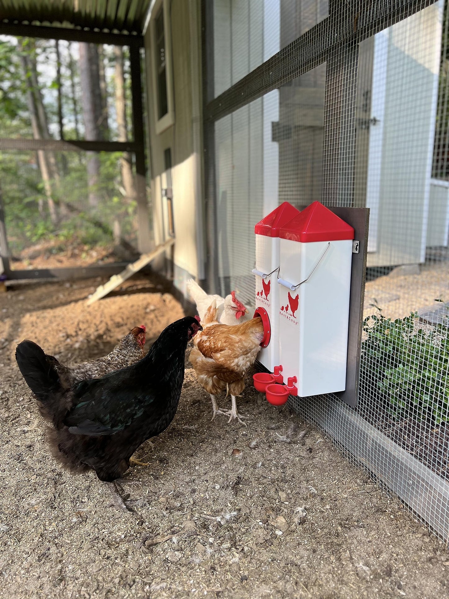 RentACoop Twin Cup Chicken Waterer and Feeder Set - 10lbs/2 Gal