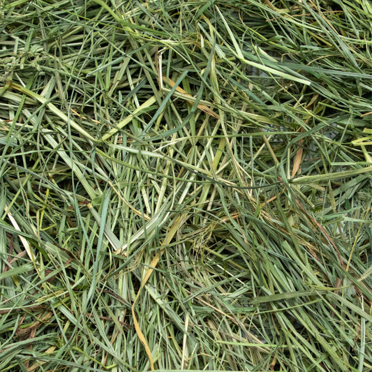 Rabbit Hole Hay - Ultra Premium Oat Hay for Small Pets - 4 oz Bag - Healthy & Fresh
