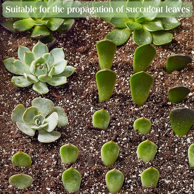 Halatool 10QT Premium Indoor Potting Soil Organic Aloe Vera Plant Potting Mix Garden Soil for Succulents Bonsai Cactus Houseplants Flowers Vegetables & Herbs