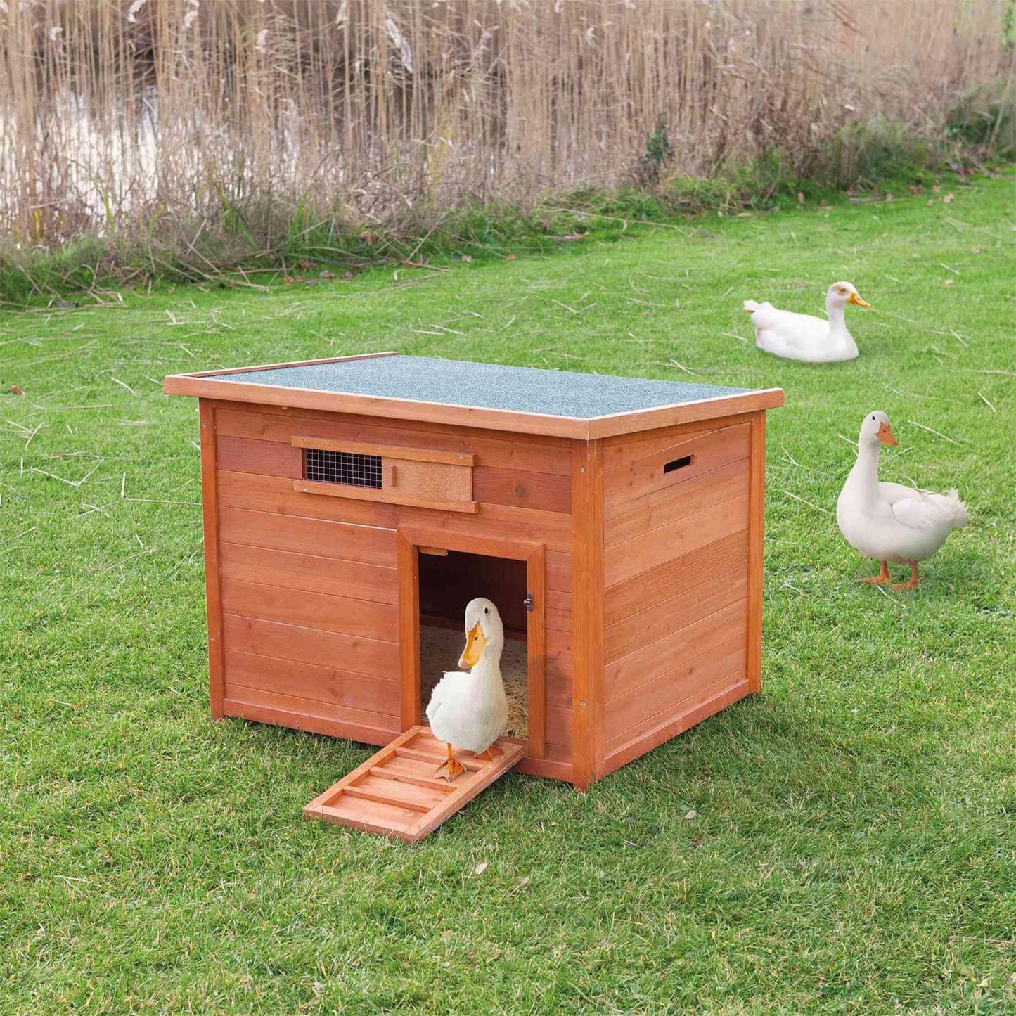 TRIXIE Natura Duck Coop – Wooden Duck House for Free Roaming Ducks – Chicken Crate Suitable for Quails and Other Poultry – in Brown