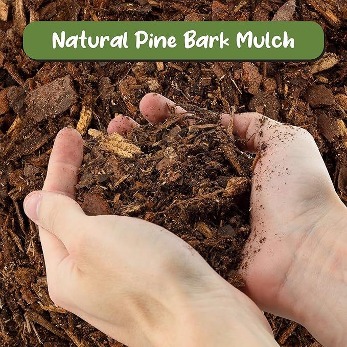 100% Natural Pine Bark Mulch Nuggets (4 Quarts), Small Mulch Chips for Indoor/Outdoor Container Gardening, Ideal for Soil Supplement, Houseplant Mulch, and Terrariums