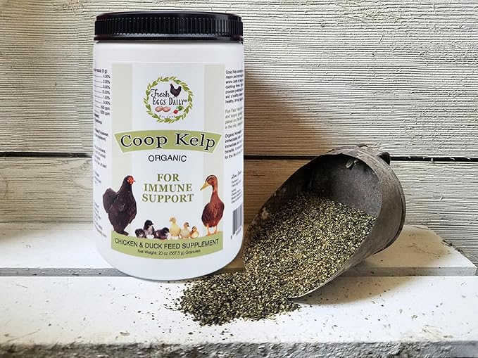 FRESH EGGS DAILY Organic Coop Kelp Feed Supplement Vitamins for Backyard Chickens and Ducks 20 oz