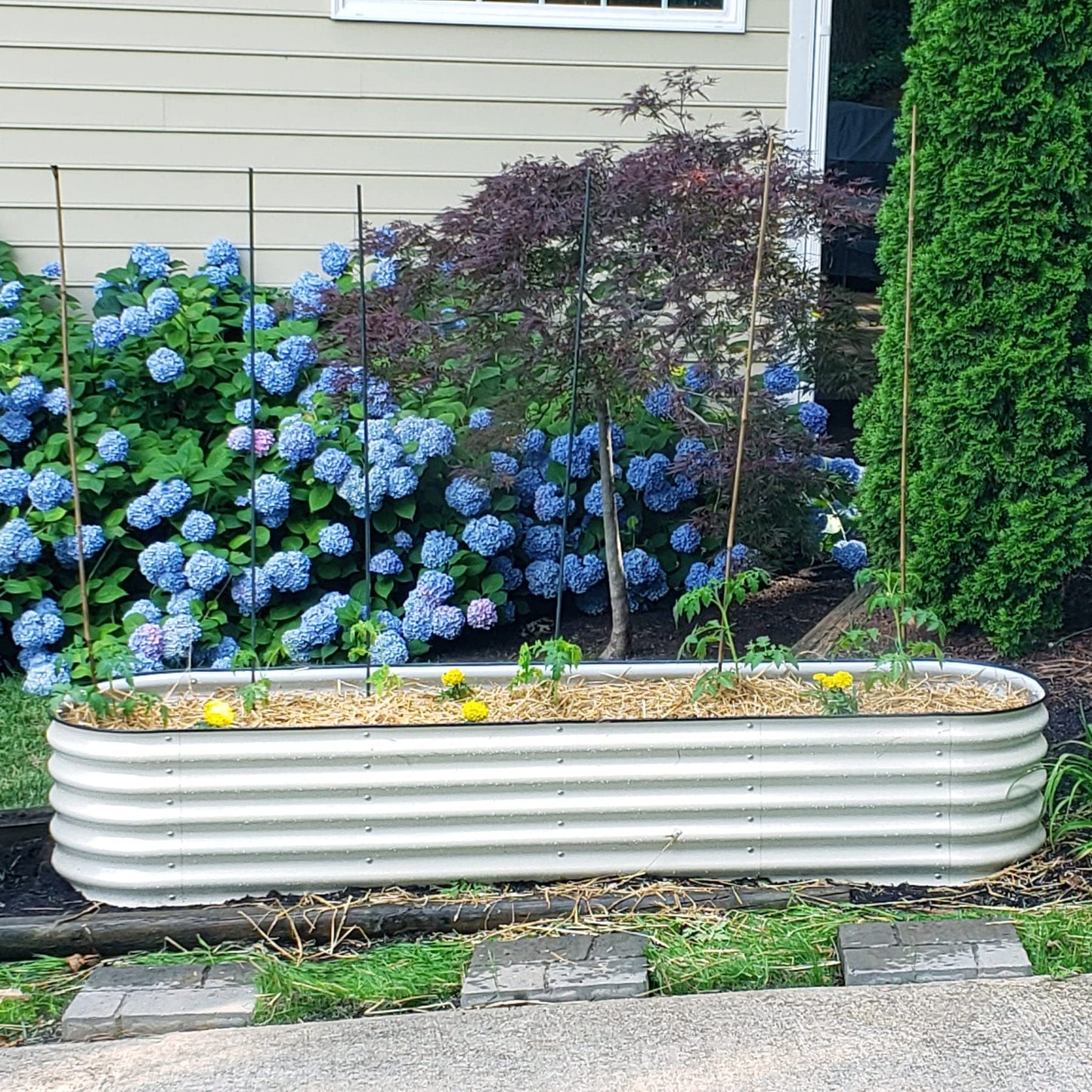 17" Tall 9 in 1 Metal Raised Garden Bed & 32" Tall 2' x 4' Elevated Garden Bed