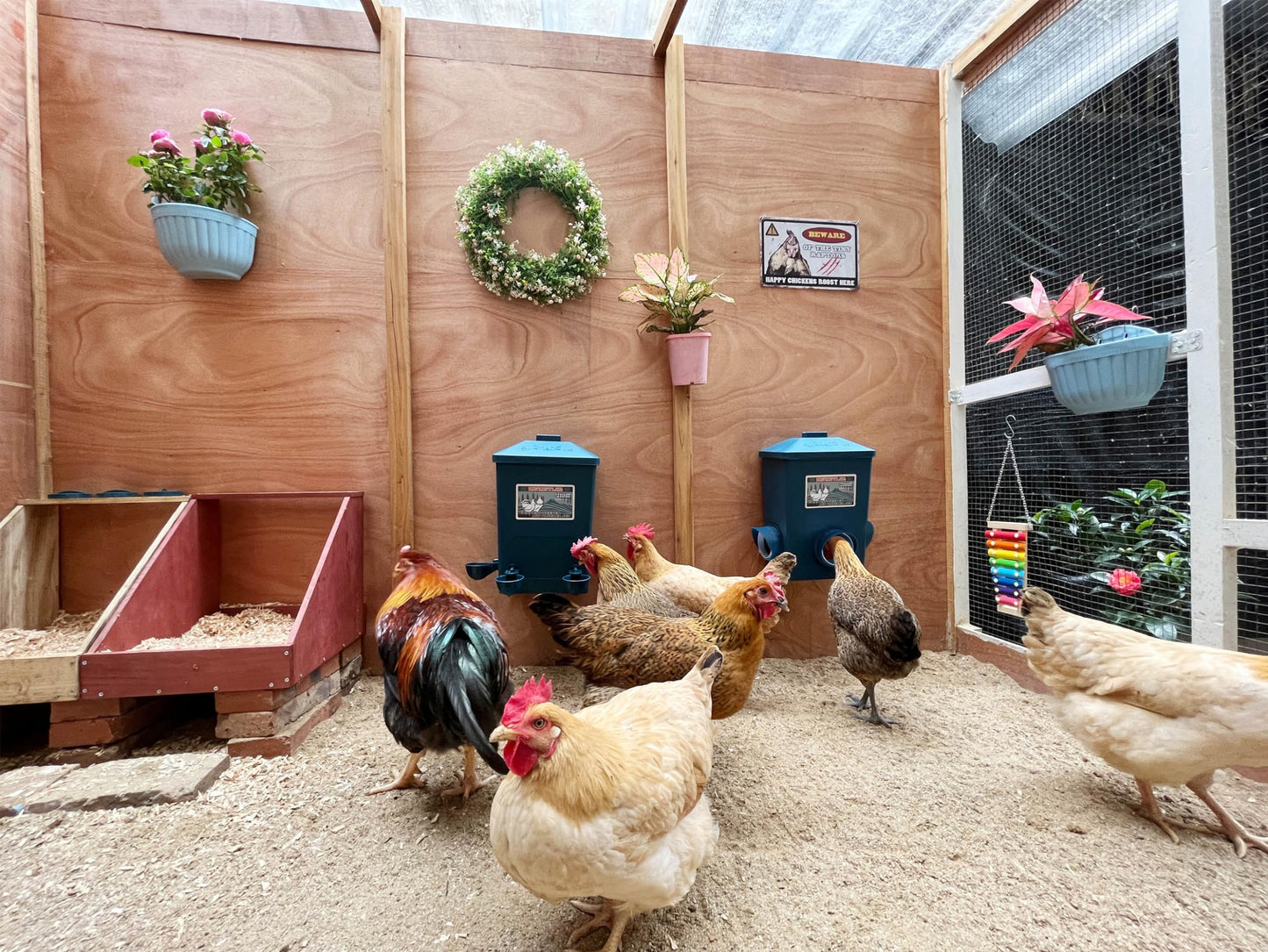 Automatic Port Chicken Feeder and Cup Waterer Set - Chicken Coop Accessories, No Waste Poultry Feeder, 3 Gallon/16 Pounds