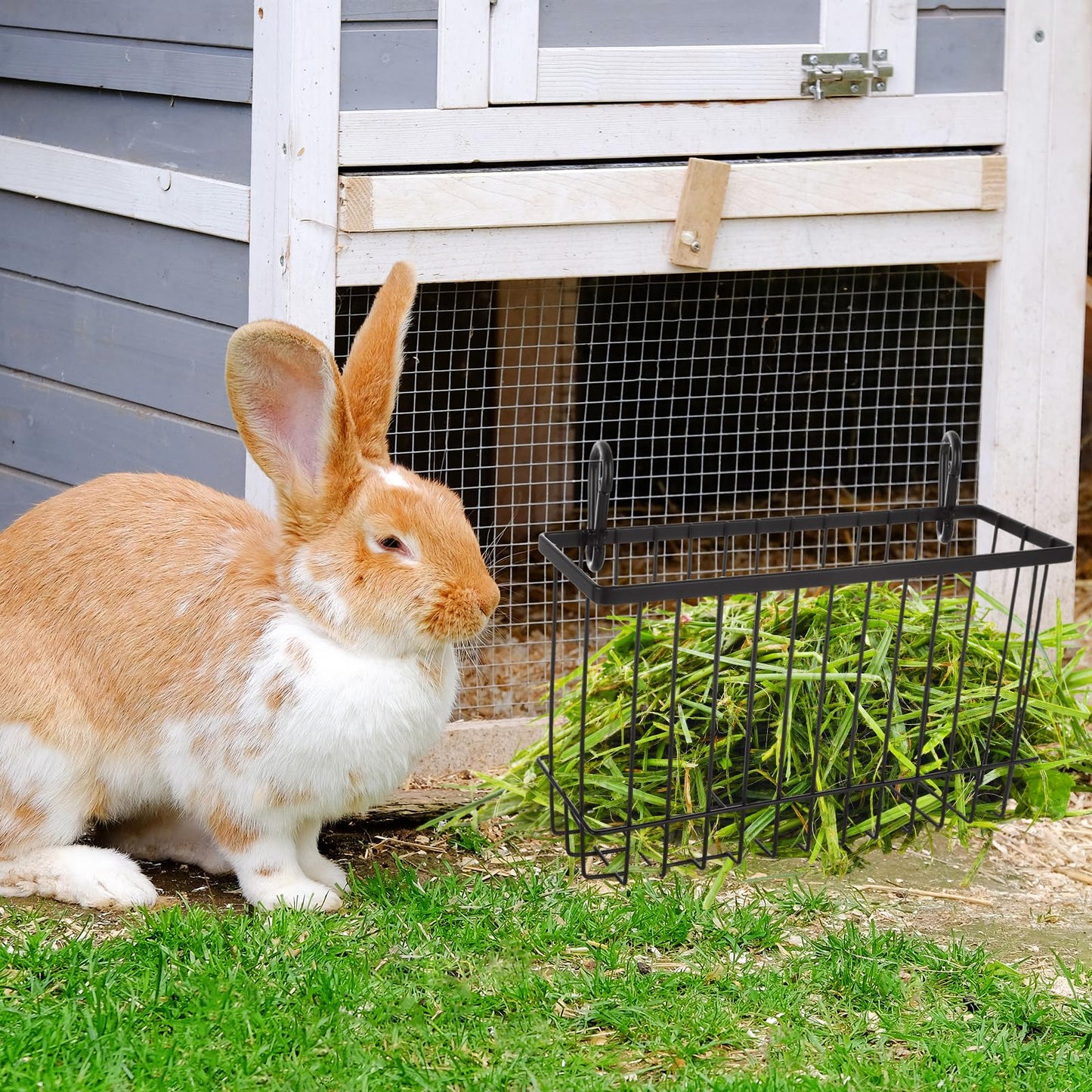EATHEATY 4 PCS Rabbit Hay Feeder, Metal Frame Guinea Pig Hay Feeder, Large Heavy Duty Bunny Hay Rack with Hook for Guinea Pigs, Chinchillas, Small Animals