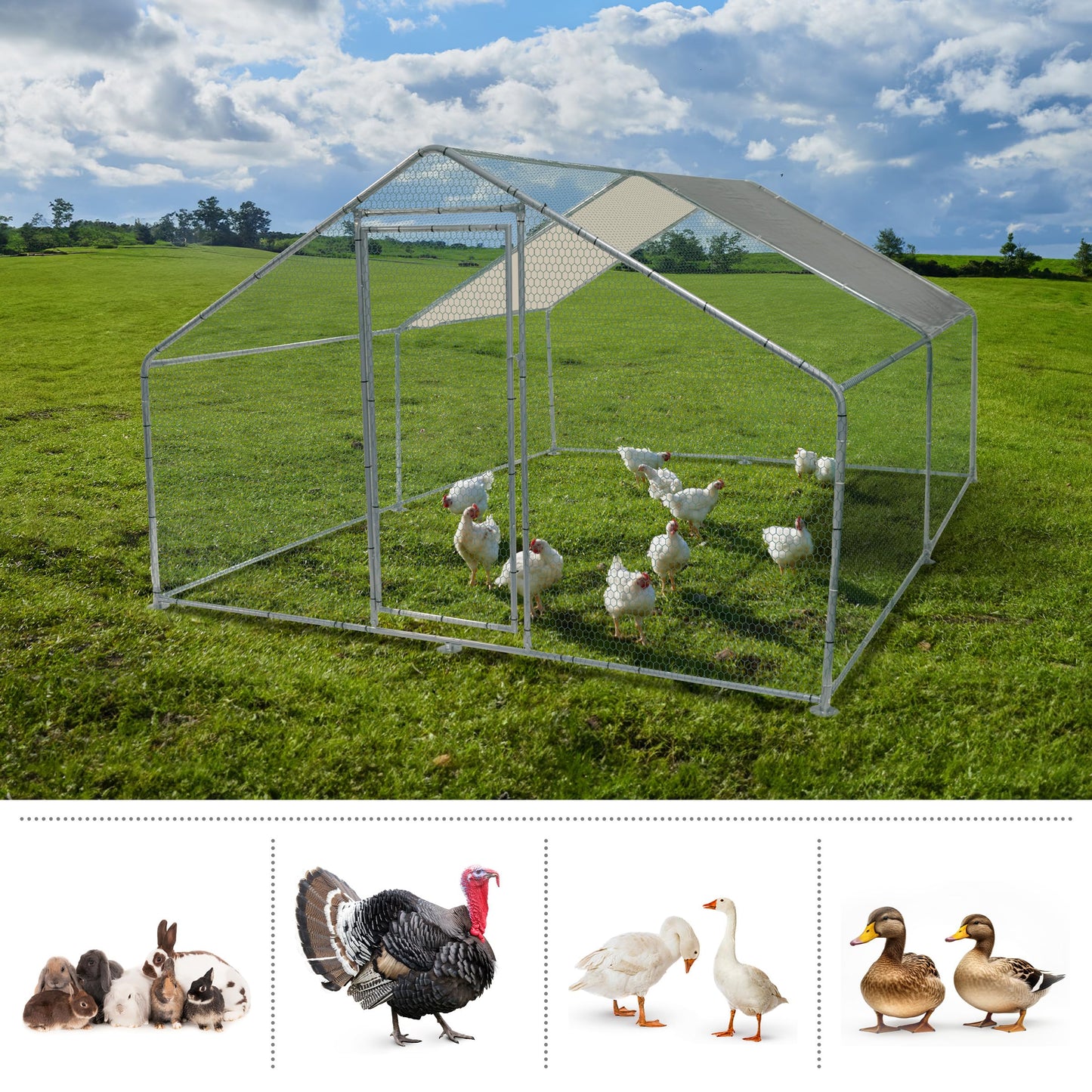 Chicken Coop - Large 13x9x6-Foot Chicken Run with Waterproof Cover and Lockable Door - Metal Chicken Coop for Ducks, Geese, or Rabbits by Pure Garden