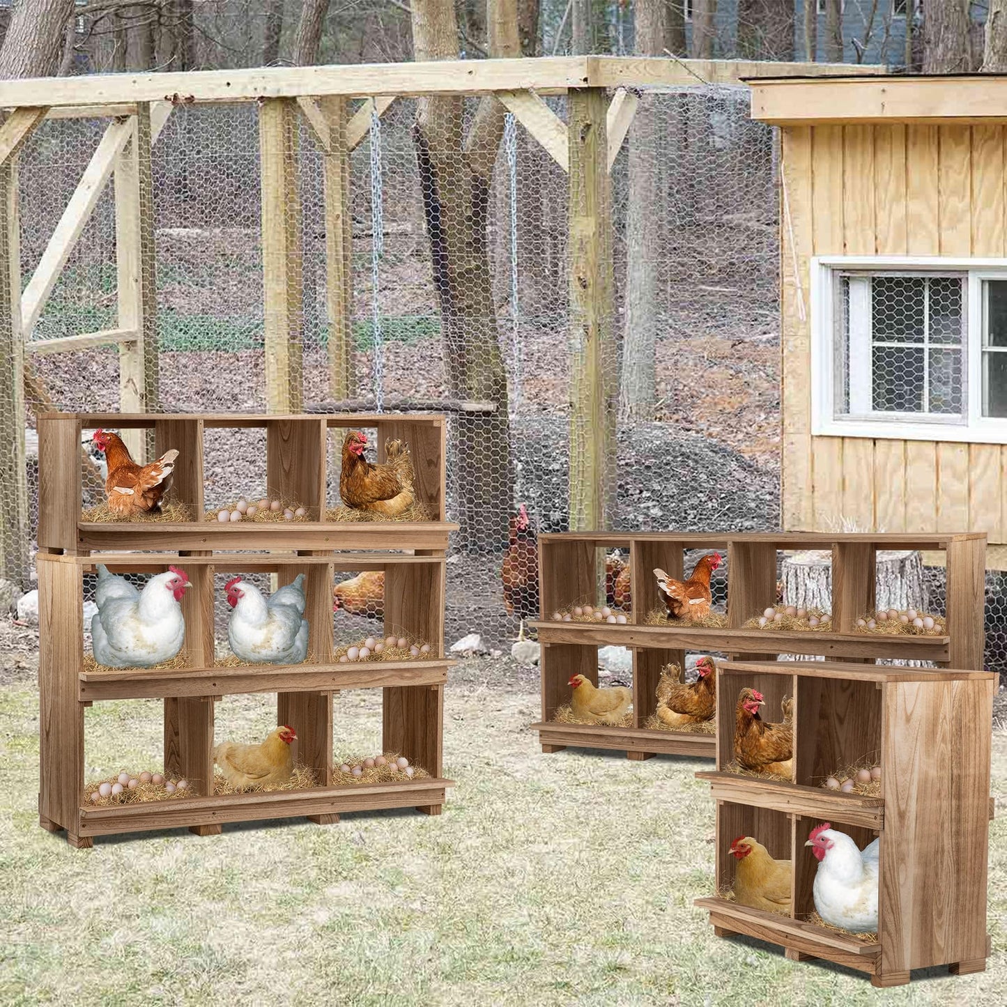 Neoaider Nesting Boxes for Chickens 3 Compartment, Wall-Mounted Wooden Chicken Nesting Box, Ensuring Comfortable Egg Laying, Preventing Egg Falls, Perfect for Backyard and Poultry Farms