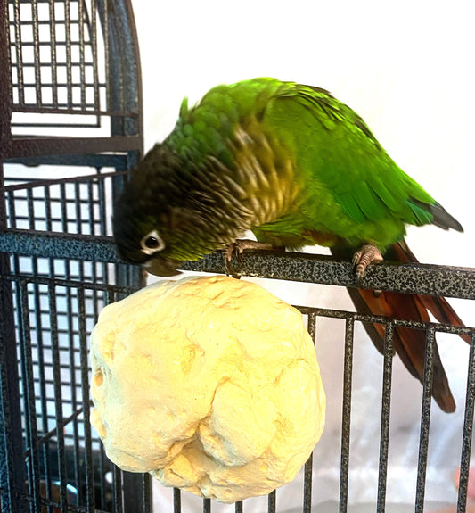 Polly's Pet Products Manu Mineral Blocks Natural for Birds