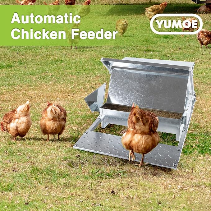 Chicken Feeder Galvanized 25Lbs Capacity Weatherproof Treadle Chicken Feeder Rodent Proof