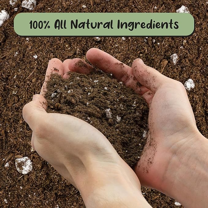 Elephant Ear Potting Soil Mix (8 Quarts), Colocasia and Alocasia Potted Plant Blend