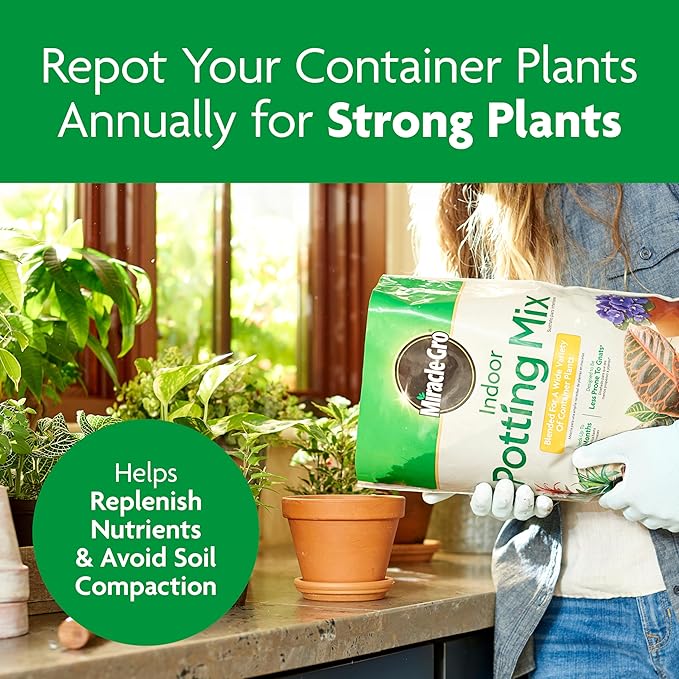 Miracle-Gro Indoor Potting Mix, Blended for a Variety of Houseplants, Feeds for up to 6 Months, 6 qt., 2-Pack