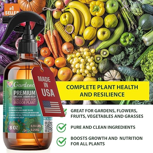 GARDENERA Professional Organic Liquid Kelp Spray for Citrus Trees Plants - 8 oz - Ready-to-Use Fully Organic Seaweed & Kelp Fertilizer Mist