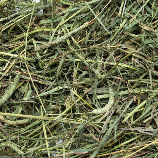 Rabbit Hole Hay - Ultra Premium Medium Timothy Hay for Small Pets - 12 oz Pack - Optimal for Small Pets