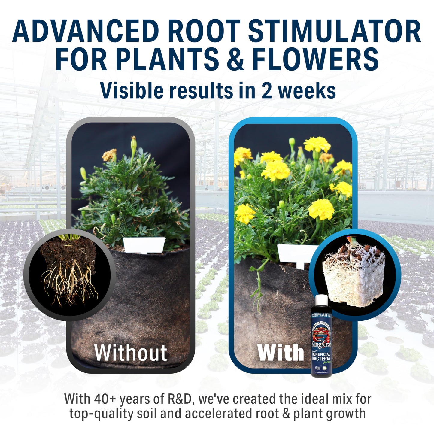 Root Stimulator for Plants, King Crab Ultra Concentrated OMRI Organic Bacteria for Plants, 275 Million Organisms per ml, Roses, Tomatoes, Houseplants, Trees and Succulents 1 gal Makes 7,500 Gallons