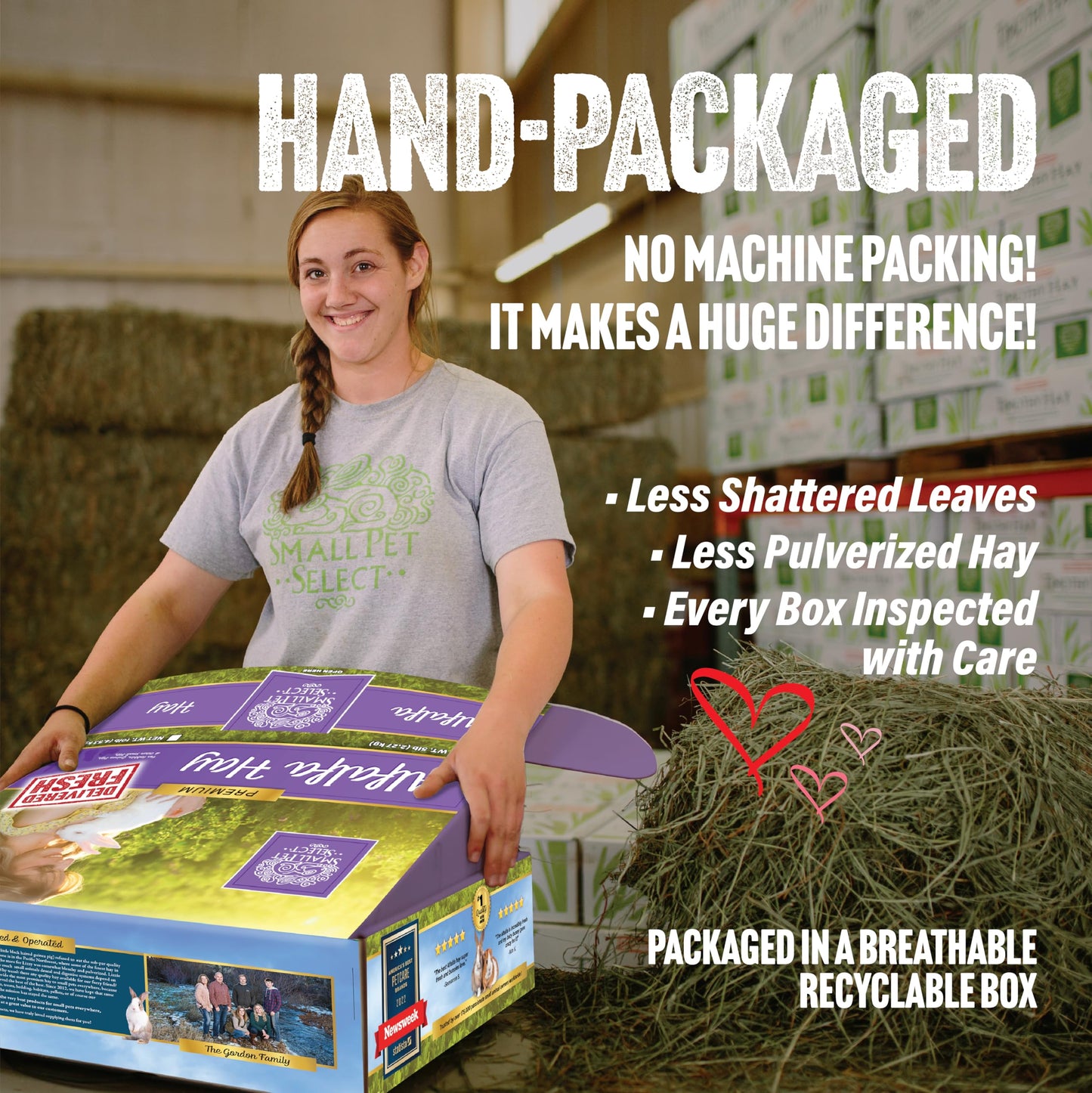 Small Pet Select Alfalfa Hay Pet Food for Young Rabbits, Guinea Pigs, Chinchillas, Tortoises and Other Small Animals, Easy to Store Box, 10 LB