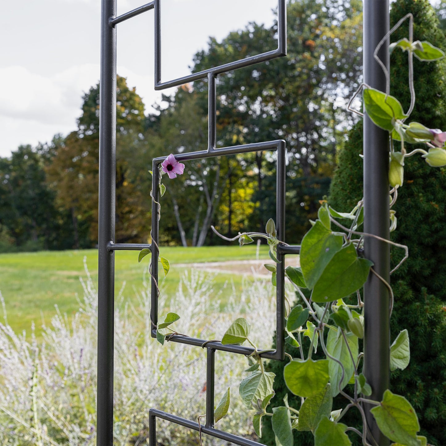 Achla Designs Modern Arbor Wrought Iron Garden Arch