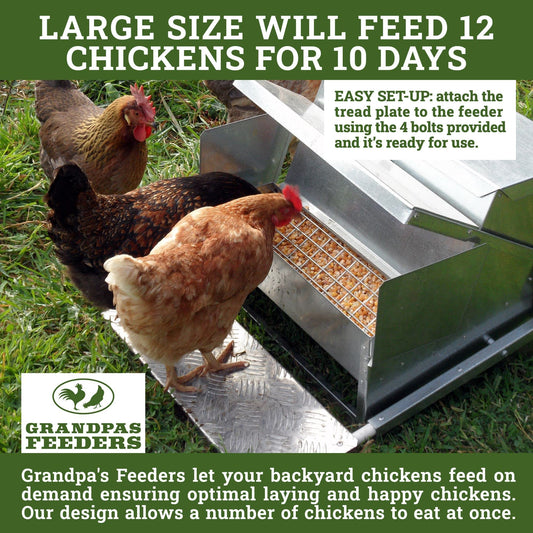 Grandpas Feeders Automatic Chicken Feeder for Large Size for 12 Chickens - Long-Lasting Galvanized Steel - Zero Waste Poultry Feeder, Spill Proof with Weatherproof Lid 10 Days (40lb Feed)